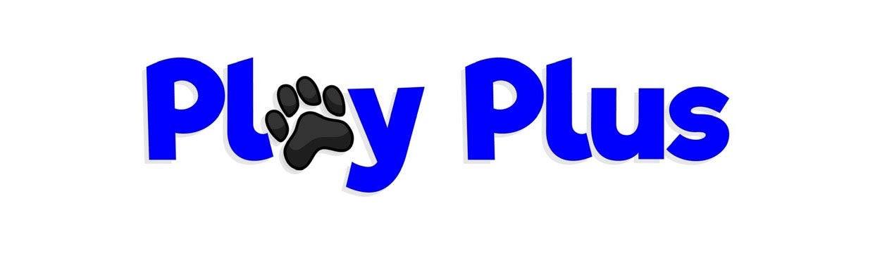 Play Plus logo