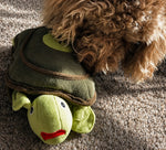 Dog playing with a turtle-shaped plush toy on a carpeted floor