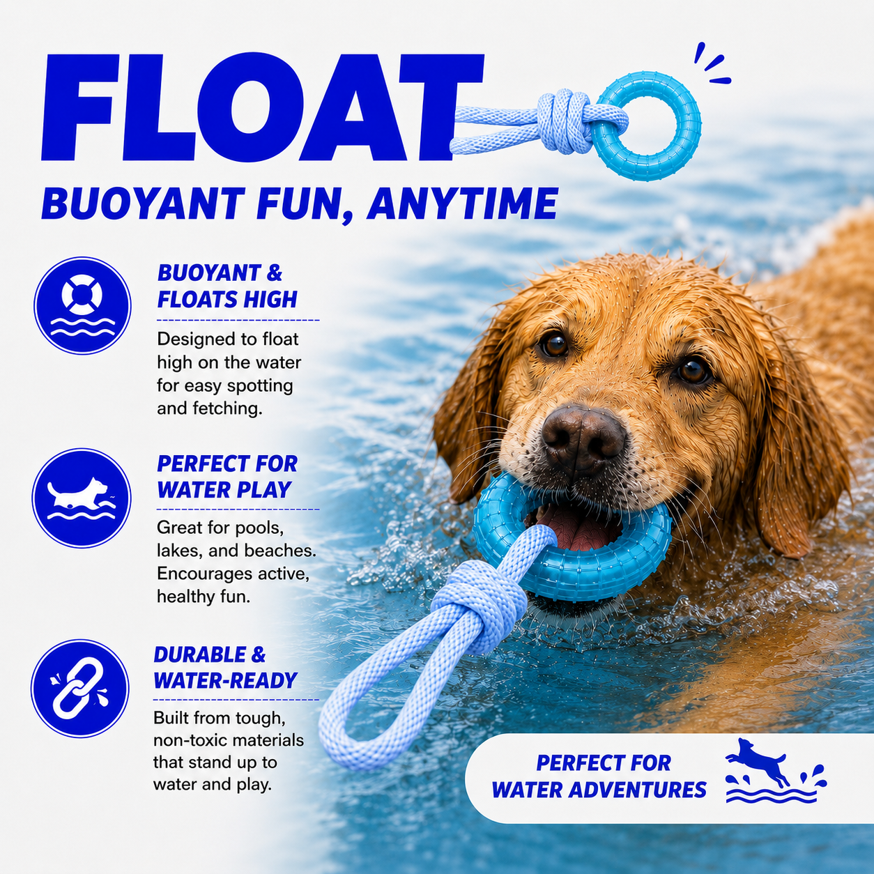 Dog playing with a blue float toy in water, with text about the toy's features.
