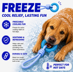 Dog playing with a blue Freeze dog toy on a snowy day