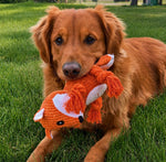 Dog playing with an orange fox-shaped toy on a grassy field