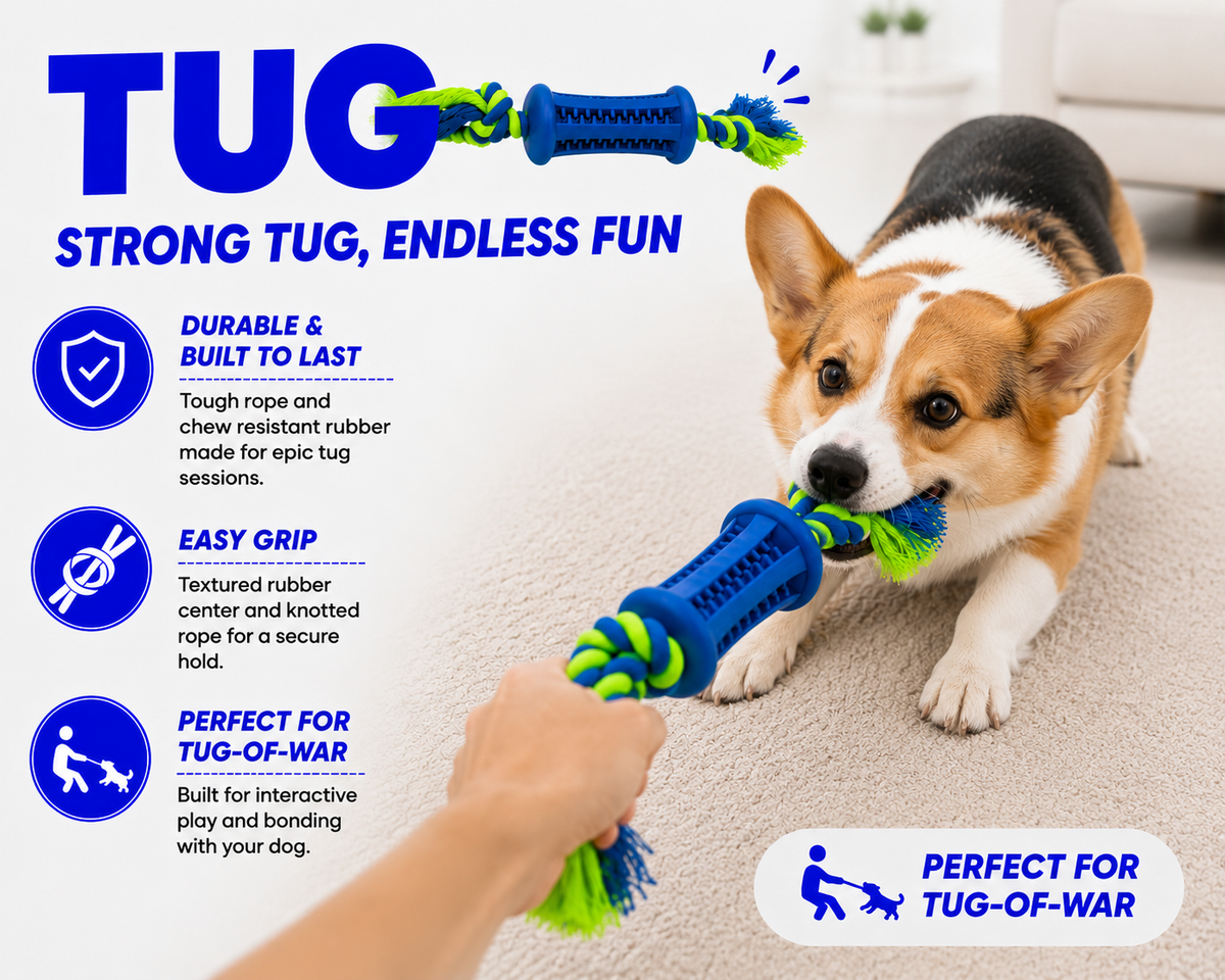 Dog playing with a tug toy, with text highlighting features like durability and tug-of-war suitability.