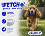 Dog running with a blue ball, promotional text for Fetch product on grass.