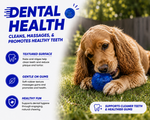 Dog playing with a blue dental health toy in a grassy area, with text about dental benefits.