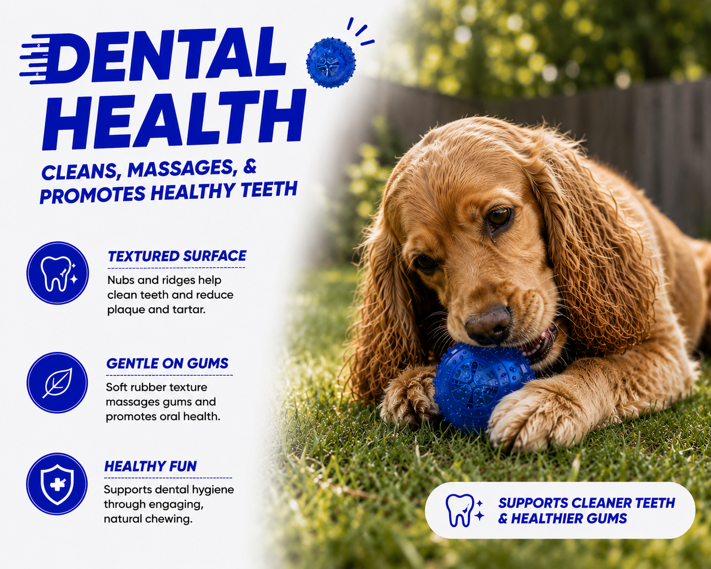 Dog playing with a blue dental health toy in a grassy area, with text about dental benefits.