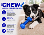 Dog playing with a blue chew toy, surrounded by text highlighting features of the toy.