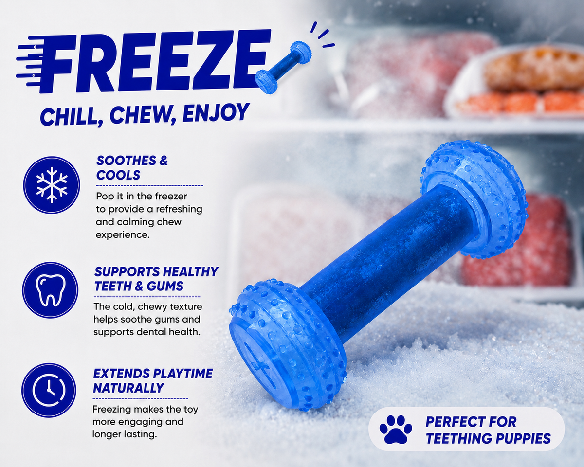 Blue dog chew toy in a freezer with text about its benefits