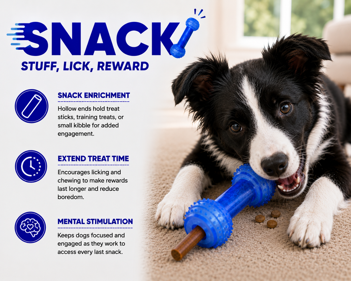Dog playing with a blue toy, with text about 'Snack' product features.
