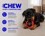 Dog chewing on a red and black toy with text about the benefits of chewing on a white background.