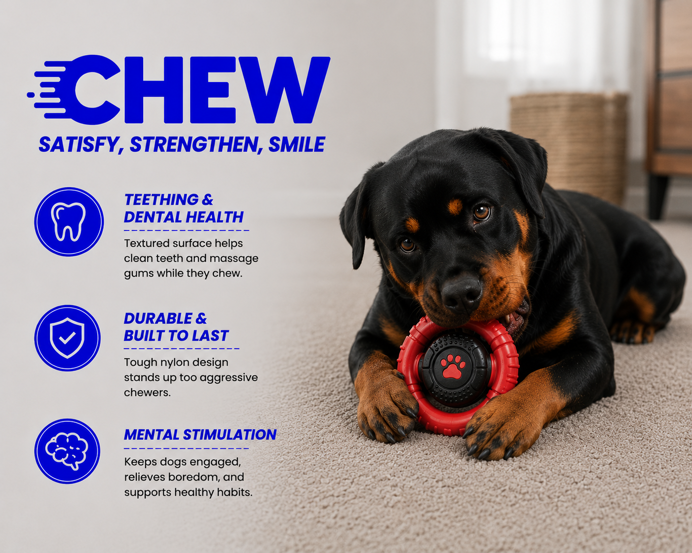 Dog chewing on a red and black toy with text about the benefits of chewing on a white background.