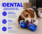 Dog playing with a blue dental toy, surrounded by text about dental benefits.