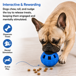 Dog playing with a blue treat dispensing toy on a light surface.