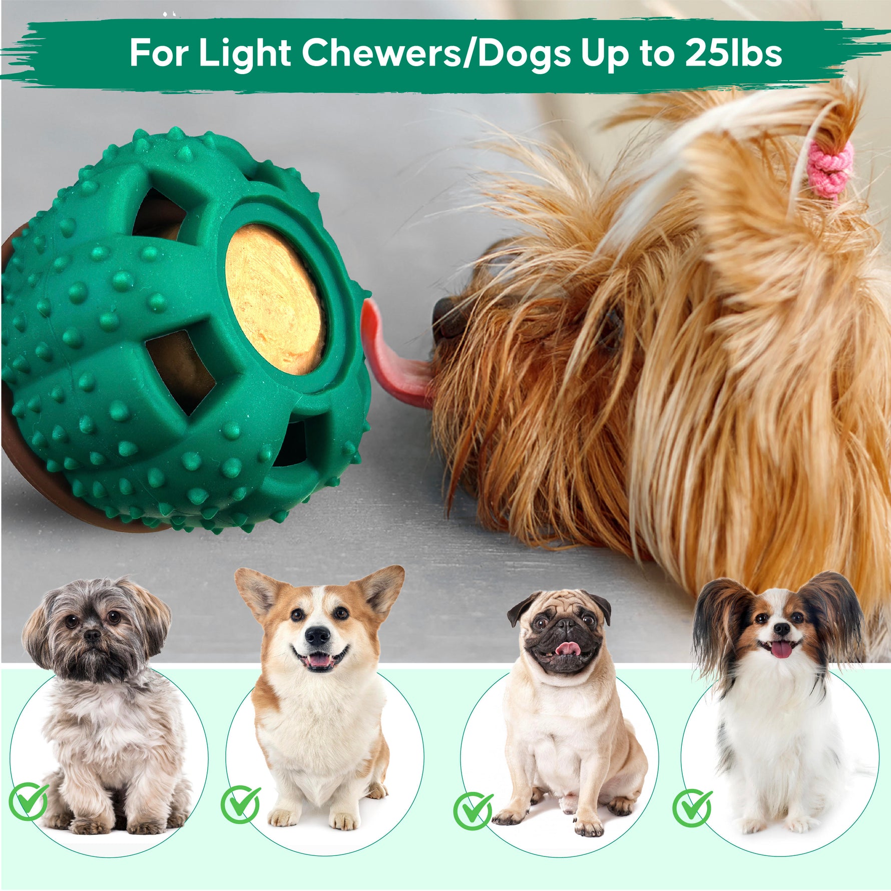 interactive dog toy for light chewers and small dogs