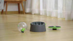 Slow Feeder For Dogs